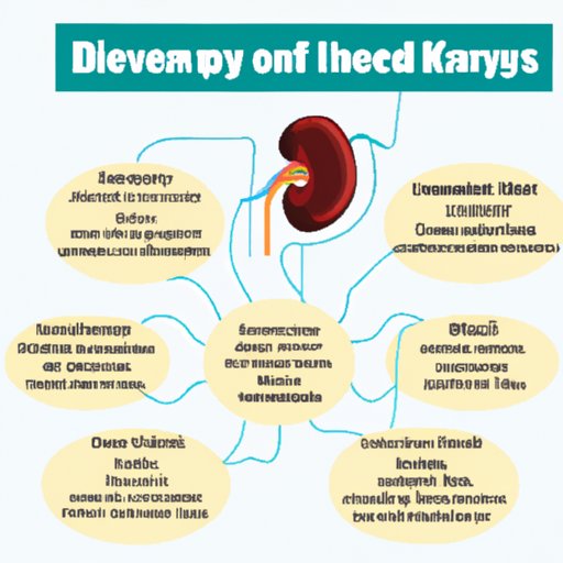 The Most Effective Kidney Disease Treatments: A Breakdown