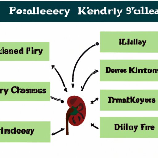 A Close Look at the Environmental Factors That May Contribute to Chronic Kidney Disease