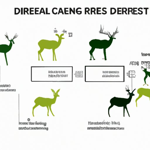From Elk to Deer: Understanding the Range of Species Affected by Chronic Wasting Disease