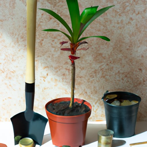 How to Repot a Money Tree A StepbyStep Guide for Successful Plant