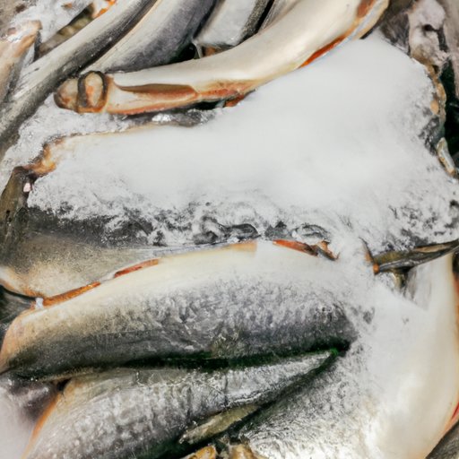 Can You Refreeze Fish? The Truth, Tips, and Benefits You Need to Know