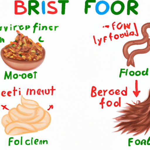 Do Protein Make You Poop? Exploring the Link Between Protein Intake and