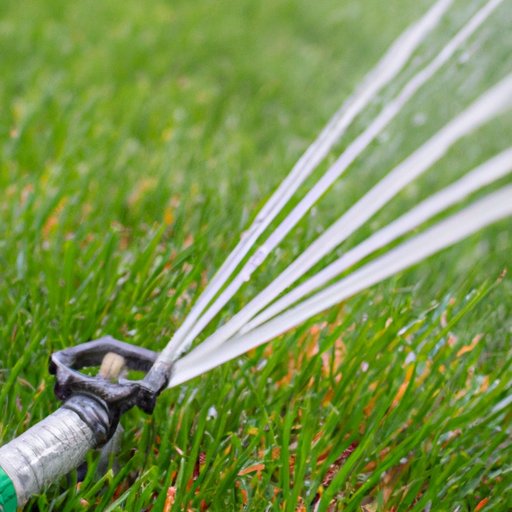 How Long Should You Water Your Lawn? A Comprehensive Guide to Lawn