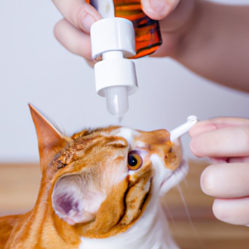 How to Give Your Cat Liquid Medicine A StepbyStep Guide The Riddle