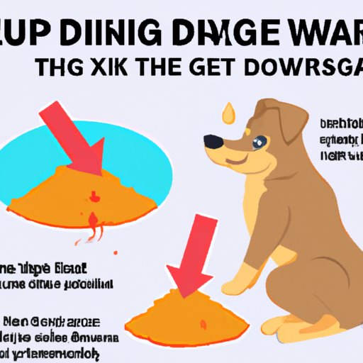 How to Make a Dog Throw Up A Comprehensive Guide for Pet Owners The