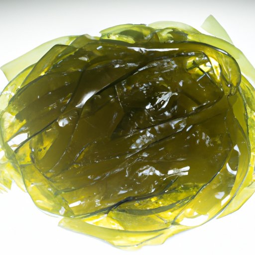 How to Make Sea Moss Gel A StepbyStep Guide to Health and Flavor The Riddle Review