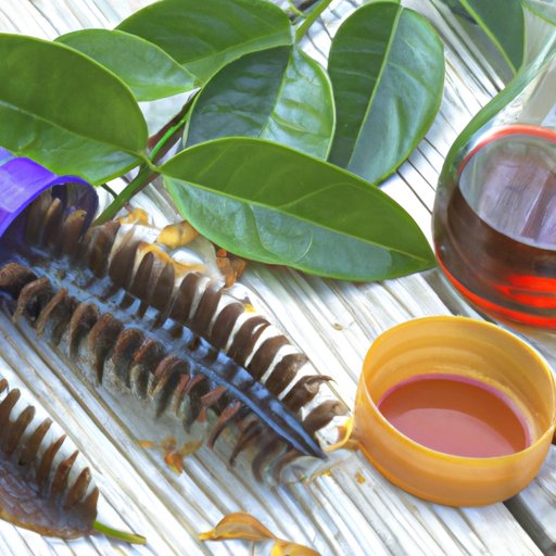 How to Regain Hair Loss from Stress Natural and Medical Solutions