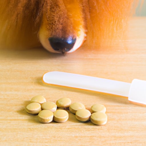 The Link Between Vitamin Deficiency and Hair Loss in Dogs