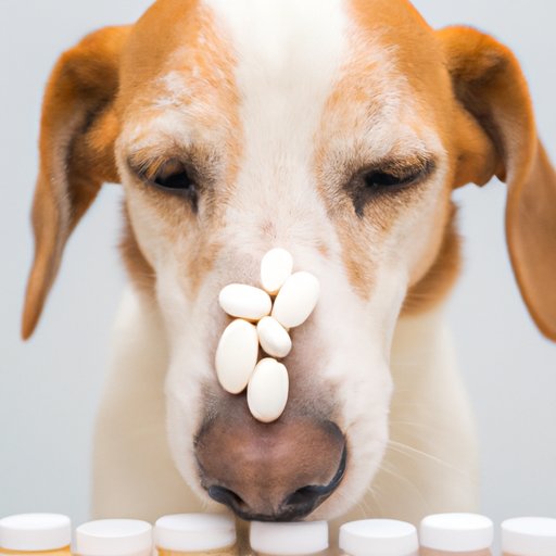 Can I Give My Dog Allergy Medicine? A Comprehensive Guide The Riddle