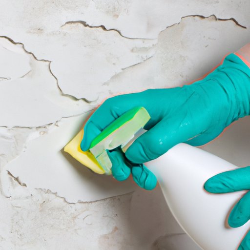 The Comprehensive Guide to Cleaning Walls Tips, Tricks and Tools The