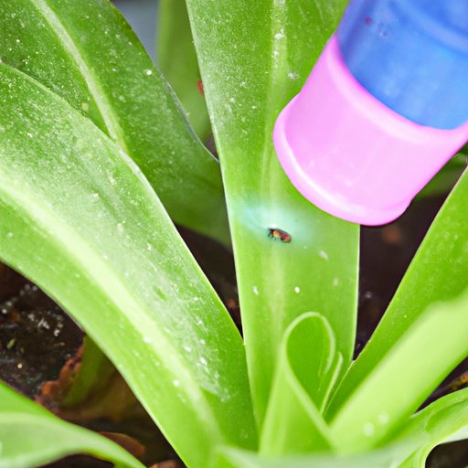 How to Get Rid of Fungus Gnats Natural and Chemical Solutions, Larvae