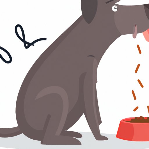 How to Help a Constipated Dog Natural Remedies, Emergency Tips, and Prevention The Riddle Review