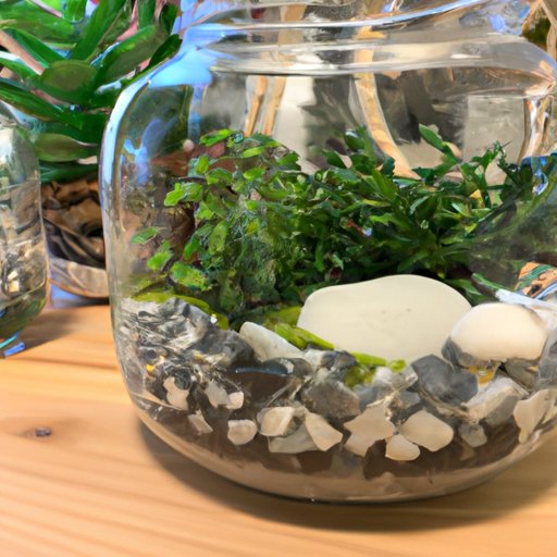How to Make a Terrarium A StepbyStep Guide with Ideas and Tips The