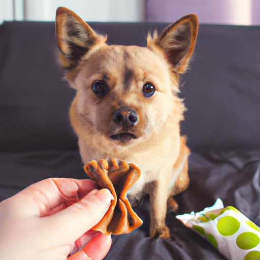 Making Nutritious Homemade Dog Food A StepbyStep Guide The Riddle