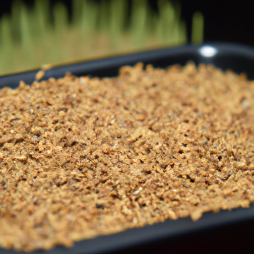 The Complete Guide to Planting Grass Seed Tips and Tricks The Riddle