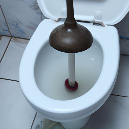 How to Plunge a Toilet Tips, Tricks, and StepbyStep Guide The