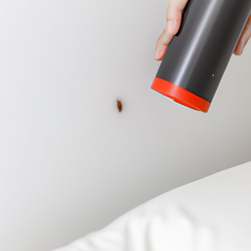 How to Prevent Bed Bugs and Sleep Soundly at Night The Riddle Review