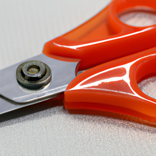 How to Sharpen Scissors A StepbyStep Guide for Beginners The Riddle Review