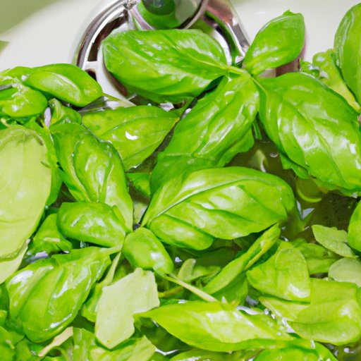 How to Store Fresh Basil Tips and Techniques for Keeping Fresh Basil
