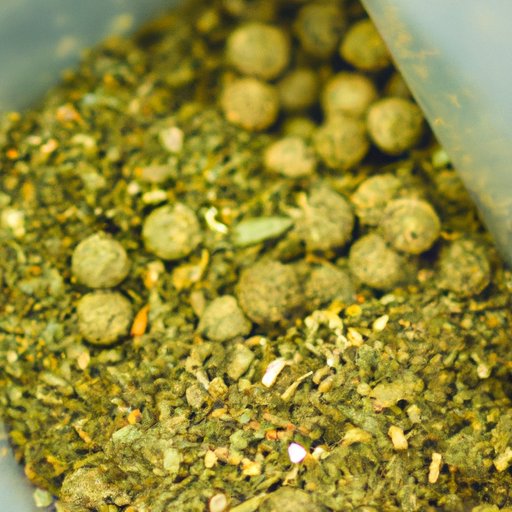 The Ultimate Guide to Starbucks’ Medicine Ball Drink From Immune